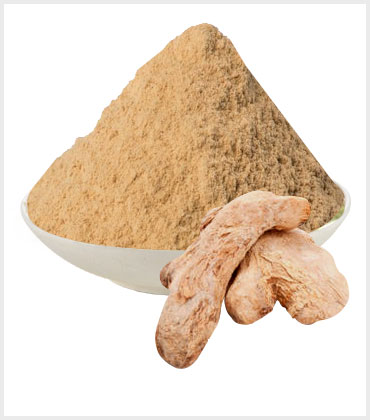 DEHYDRATED GINGER POWDER